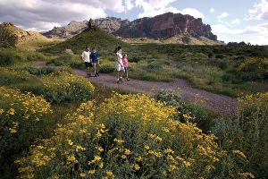 Superstition Mountains Family Hike