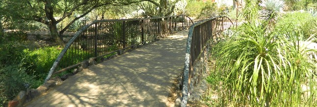 Phoenix Desert Botanical Gardens by Christopher Block